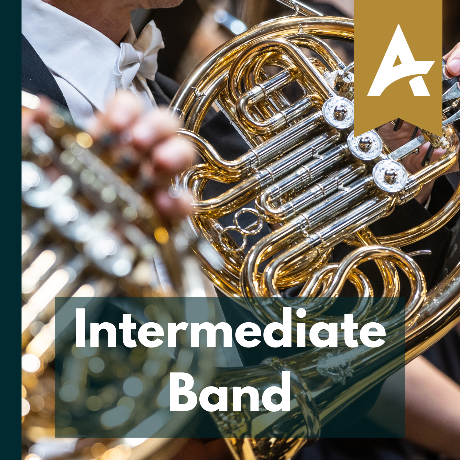 Intermediate Band